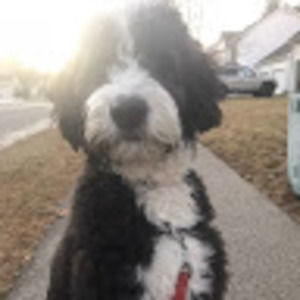 Meet your Posher, Aditi